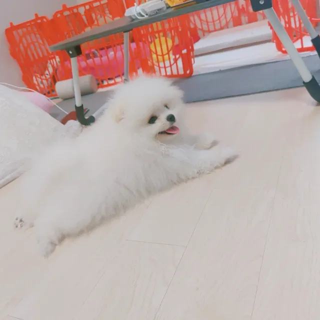 마진