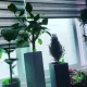 이선생