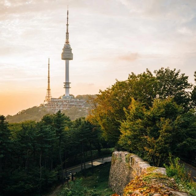 스타일15