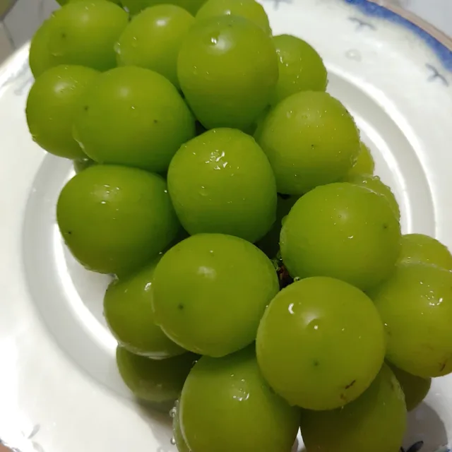포도양