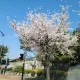울라라