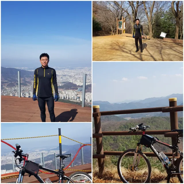 홍삼드셔