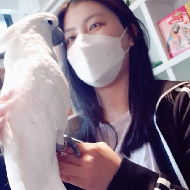 minjung