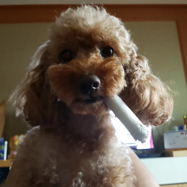따또