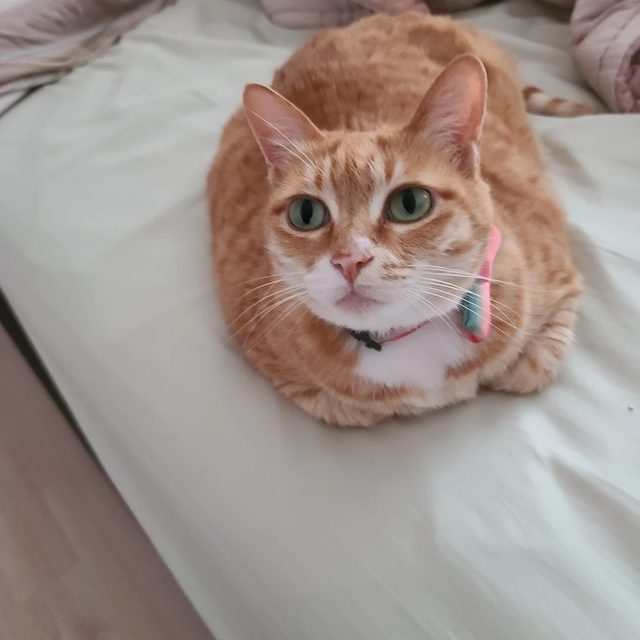 리뷰 프로필 이미지