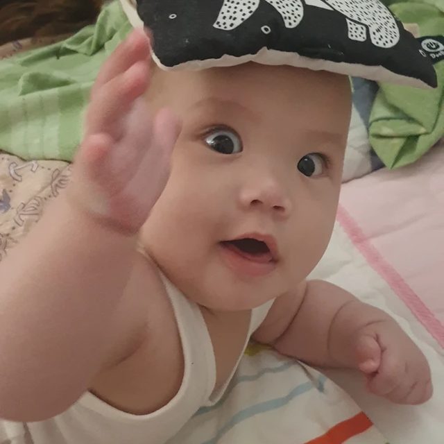 불청객