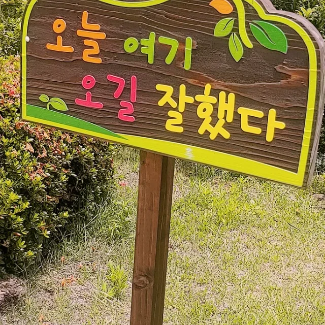 아지맘