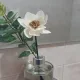 자두