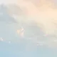 나니꼬