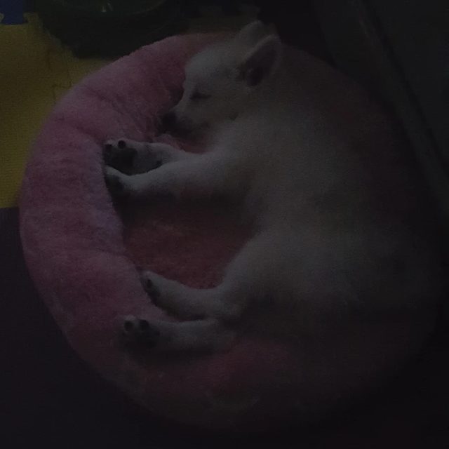 리뷰 프로필 이미지