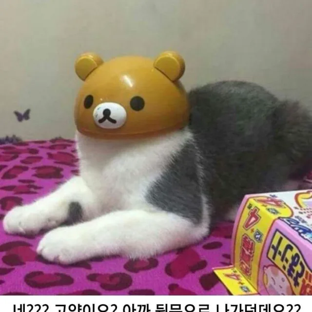셩셩