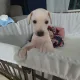베베낭