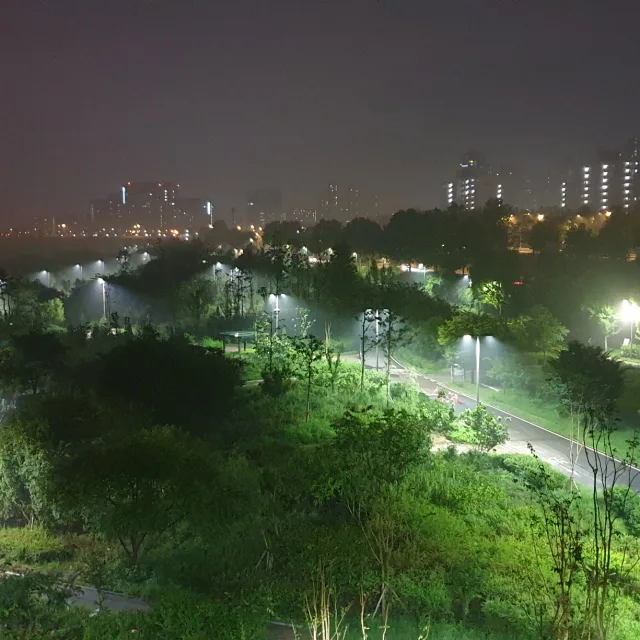 달팽이