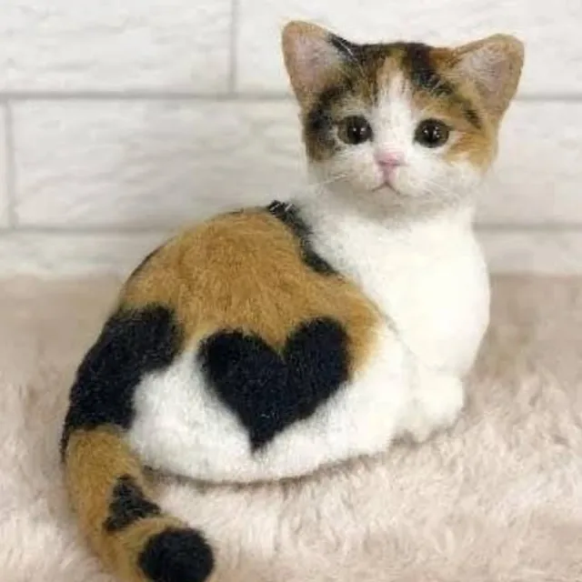 모냐옹