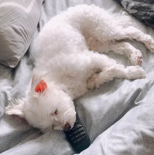 새벽