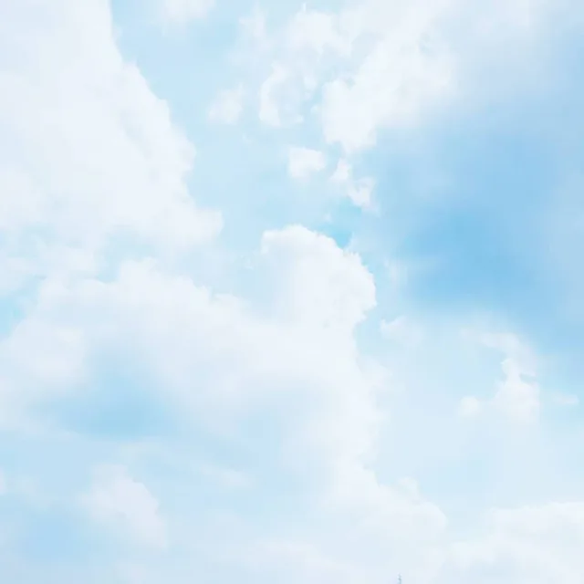 전따봄전심쿵