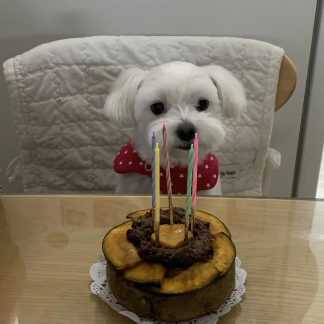 자연어무이