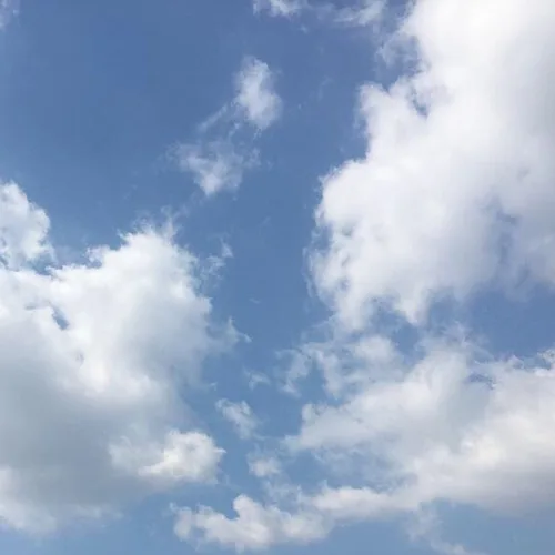 쭈누마미
