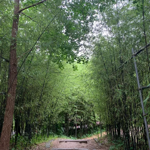 셜록