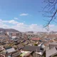 호호는거난이꺼