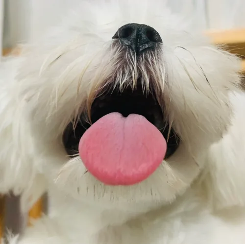 나랭