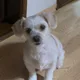 퍼플