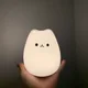 모모언니