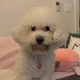 강덕선