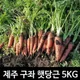 구좌당근맛이쏘