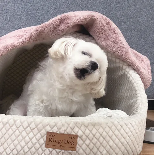 호홓