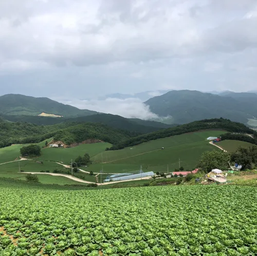 오산곰순이