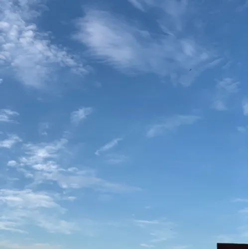 파란하늘