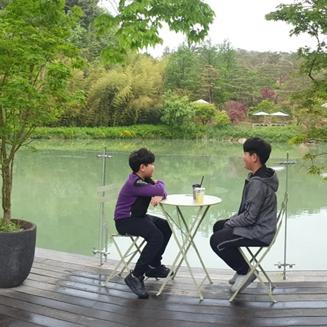 드래곤파파