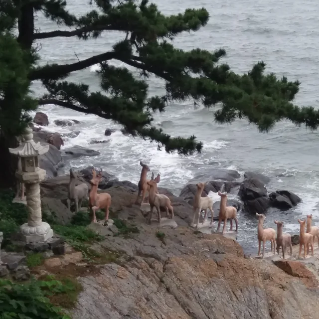 정경