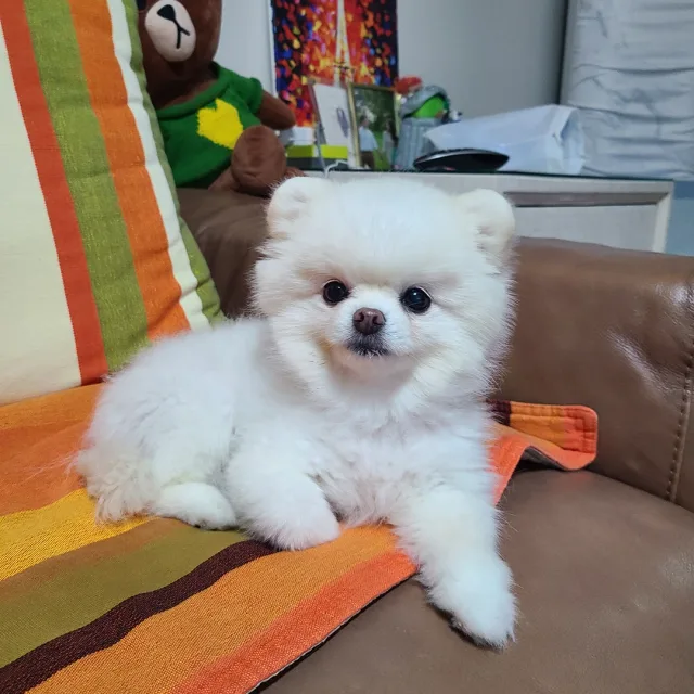 김수한무