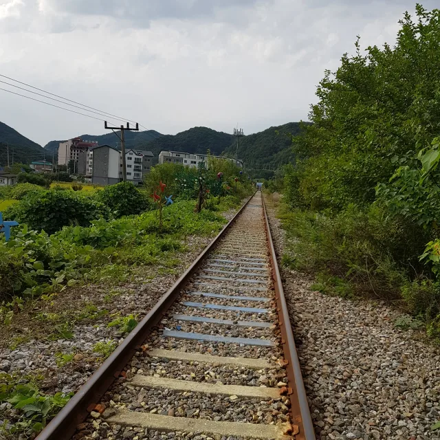 호낑이