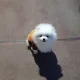 모찌엄마