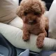 쑤기