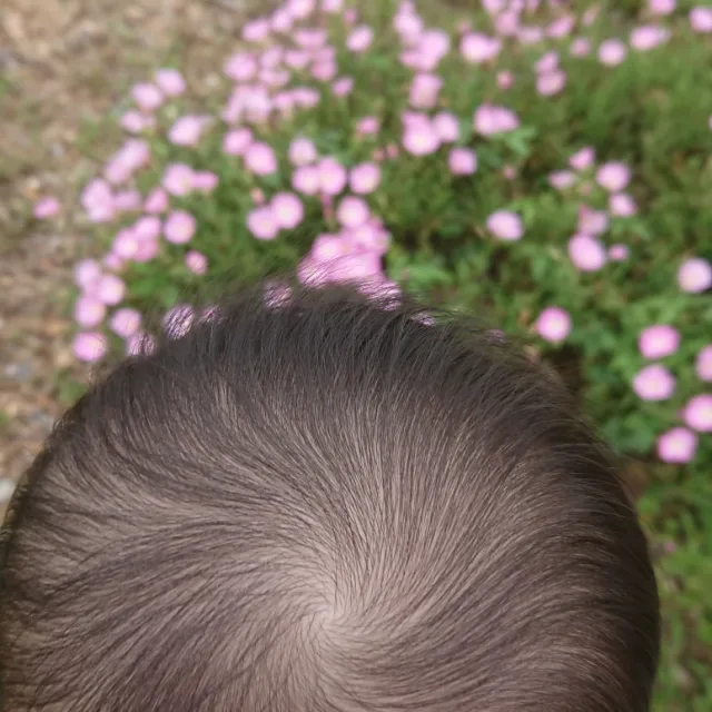 푸른푸룬
