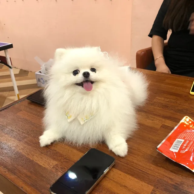 노란