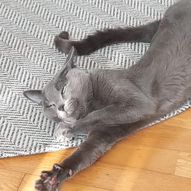김쑝욘