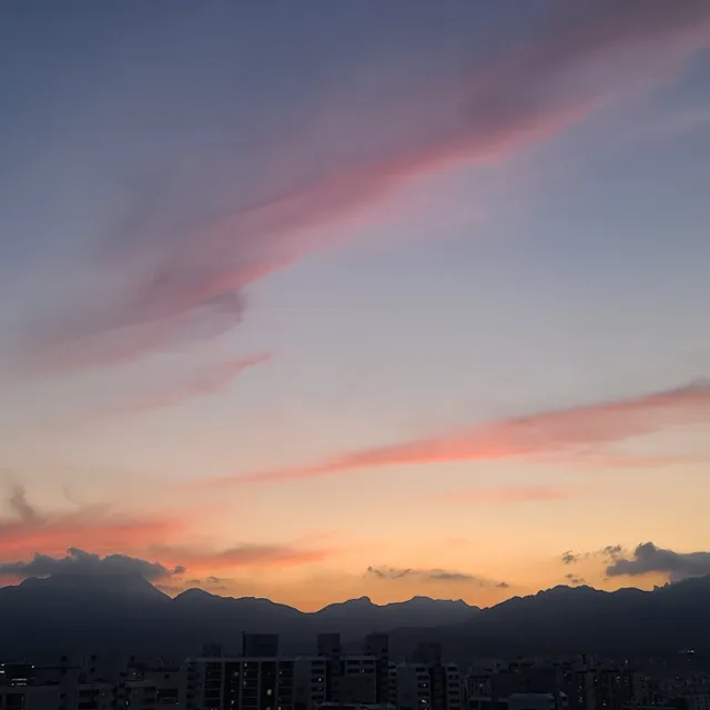 당근주민