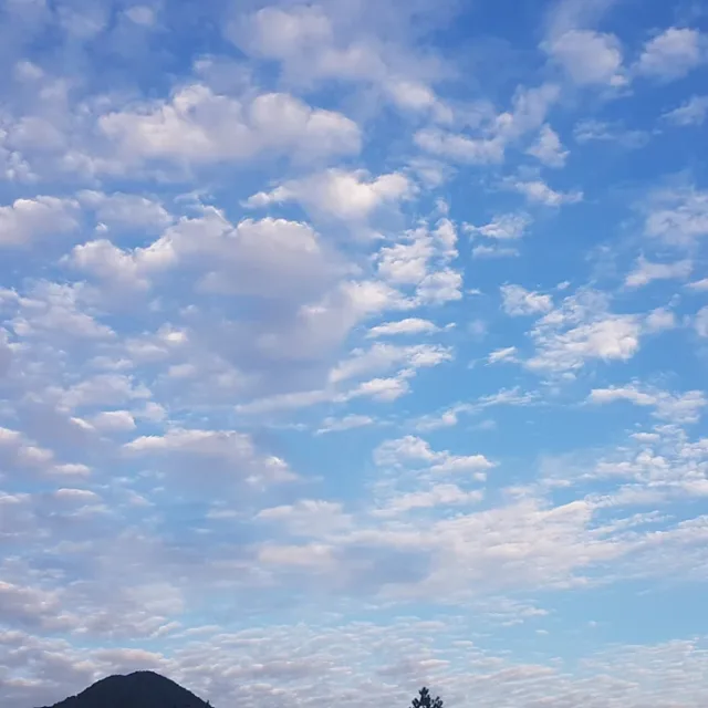 망구아바