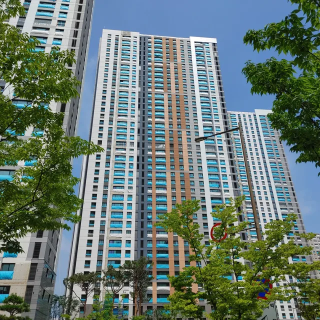 다산화이트