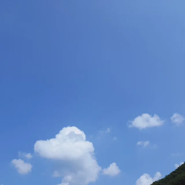 해피티처