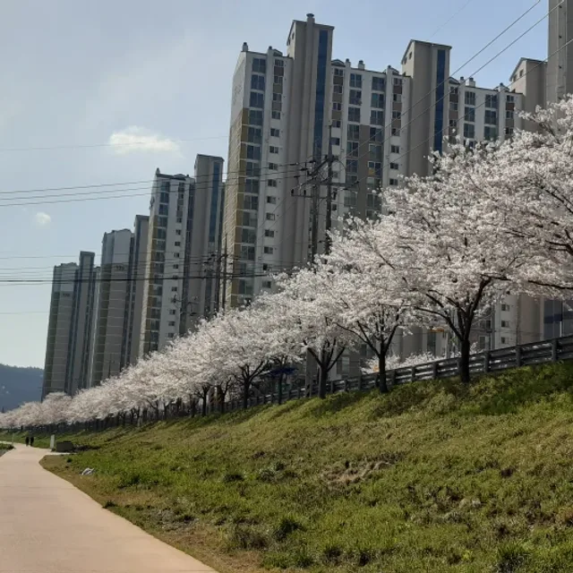 톰크루즈