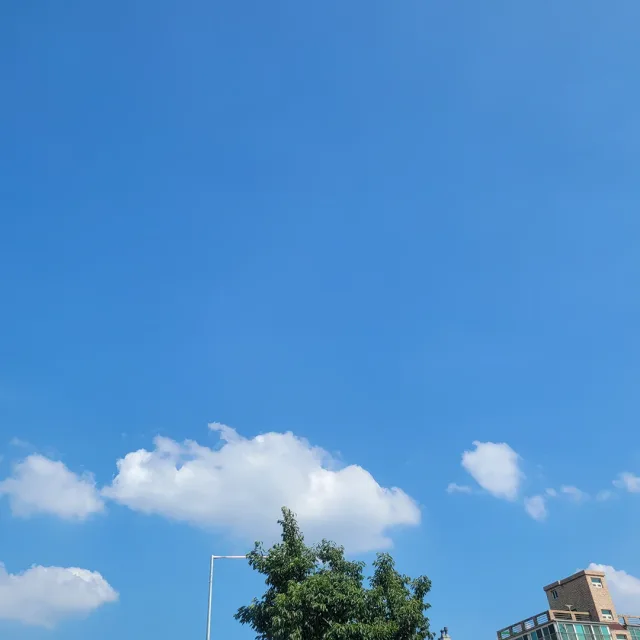 푸른하늘