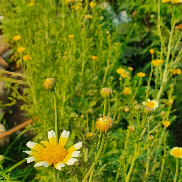 이사로급정리