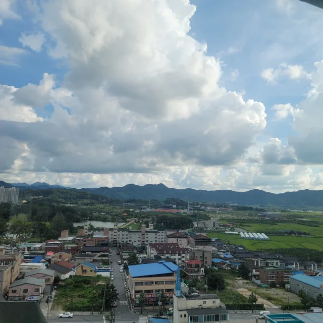 루돌프사슴간