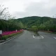 왕갯지렁이